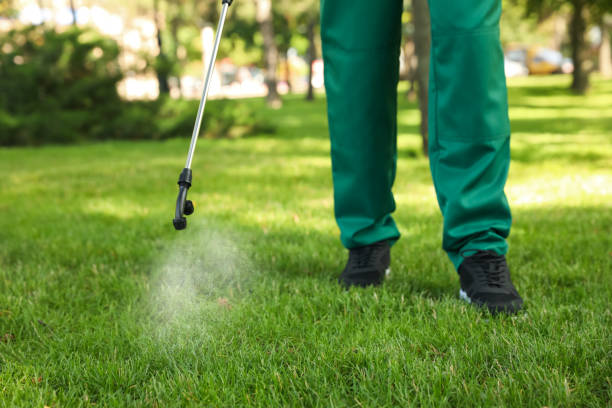 Best Bed Bug Extermination  in Minier, IL