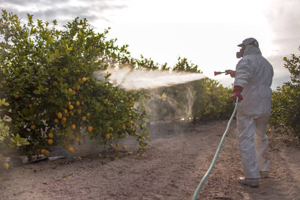 Best Pest Inspection Near Me  in Minier, IL