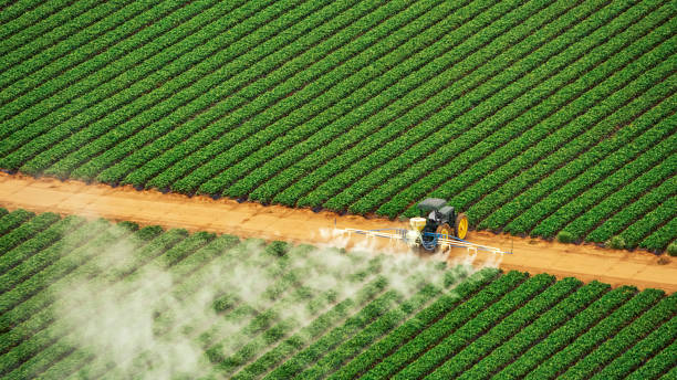 Best Commercial Pest Control Services  in Minier, IL