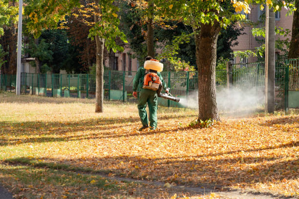 Best Pest Control for Businesses  in Minier, IL