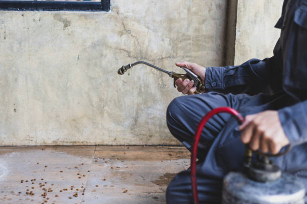 Best Best Pest Control Companies  in Minier, IL